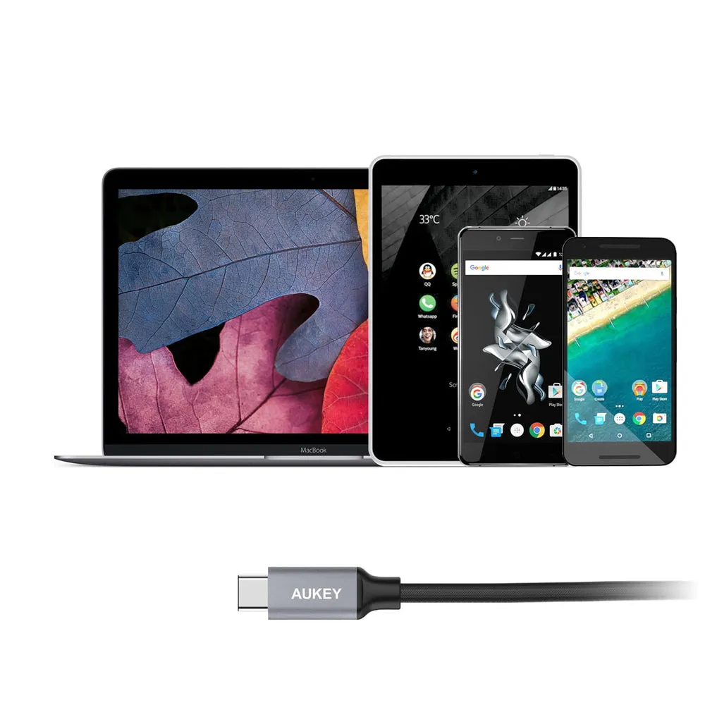 CB-CD2 3.3ft USB-C to USB 3.0 Quick Charge 3.0 High Performance Nylon Braided Cable