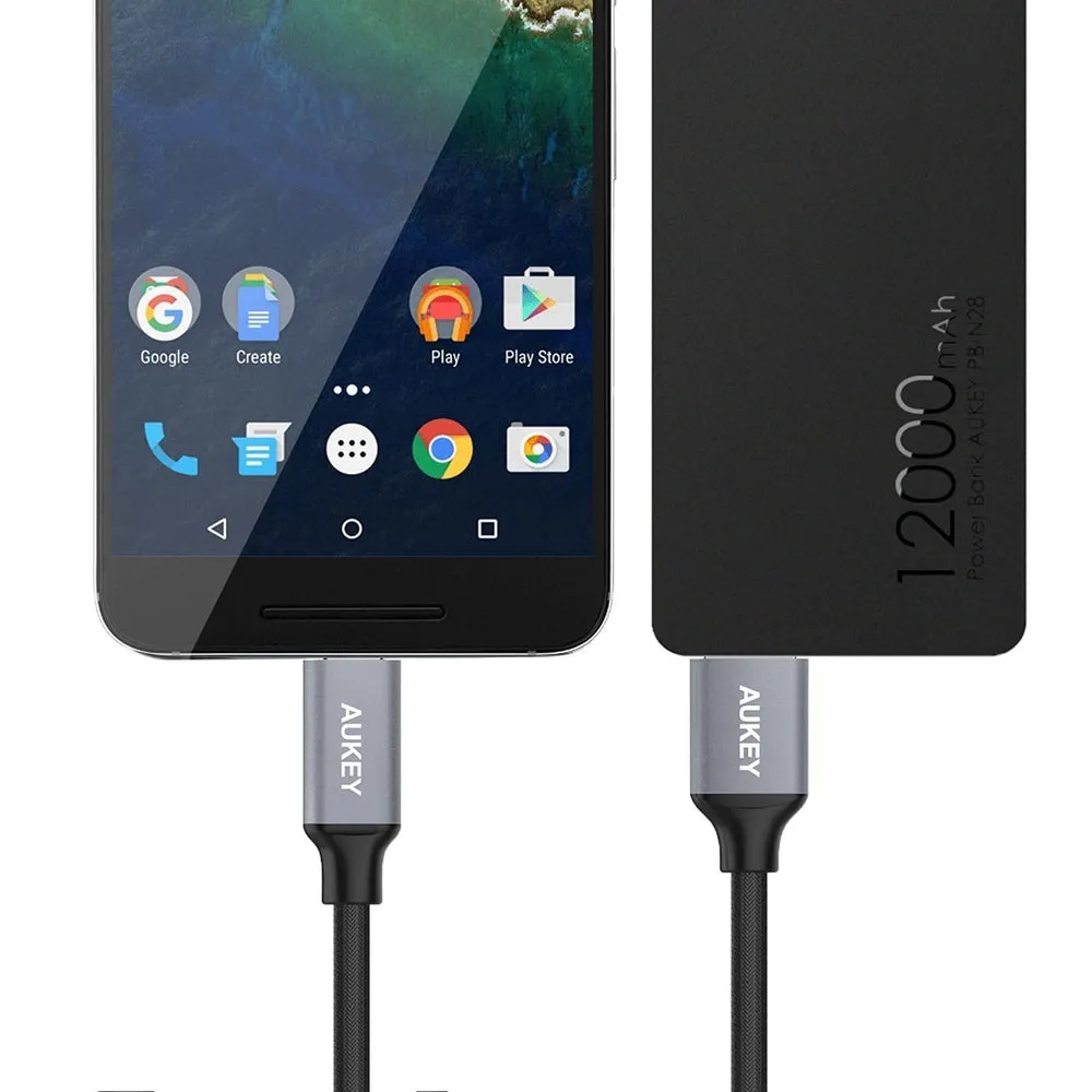 CB-CD2 3.3ft USB-C to USB 3.0 Quick Charge 3.0 High Performance Nylon Braided Cable